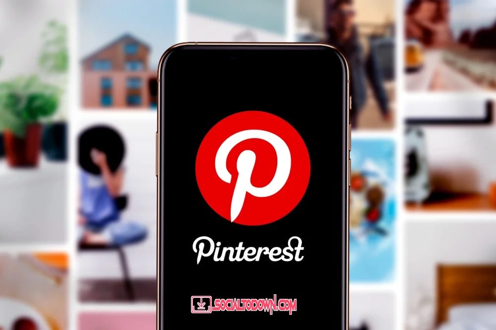 Pinterest Video and Gif Downloader
