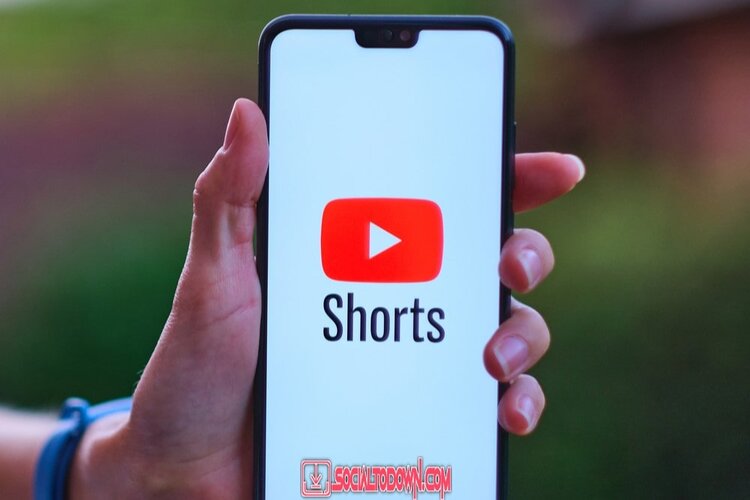 Youtube Shorts Video Downloader